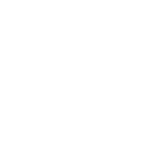 White Icon — Monochrome